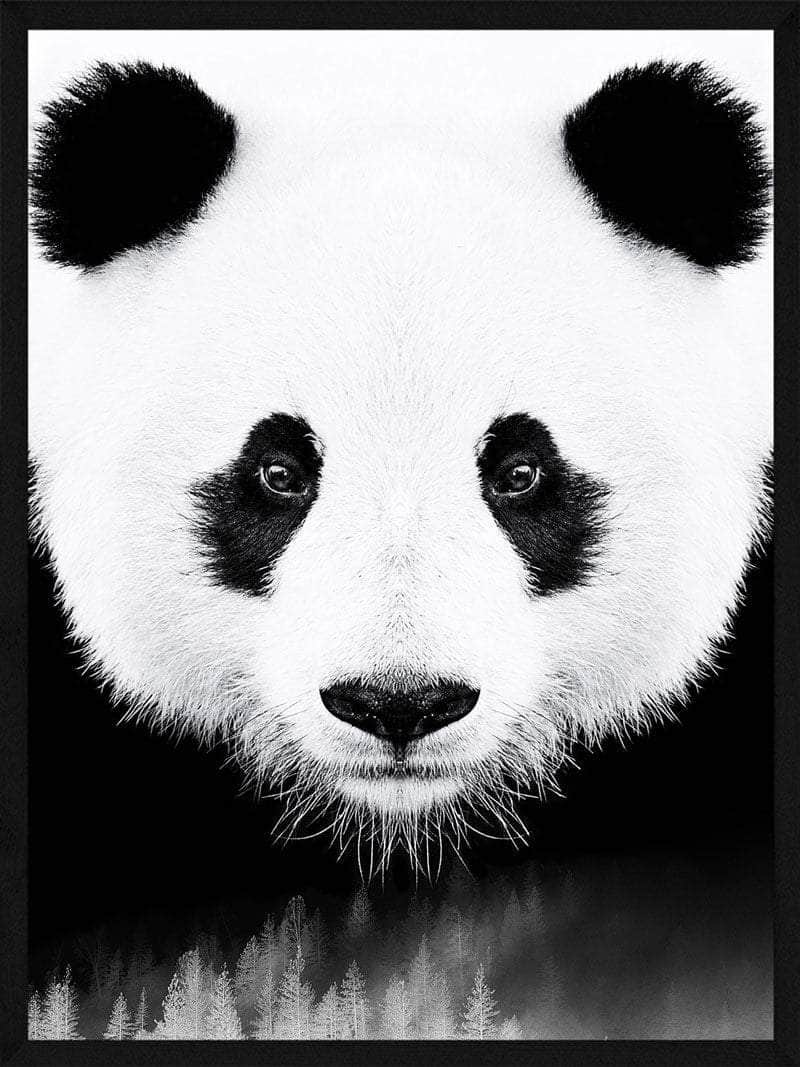 Panda Plakat