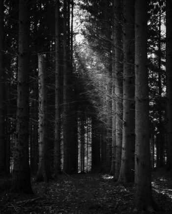 Path Af Jakob Evers