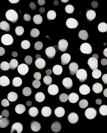 Petite Pattern Af Andreas Mørck