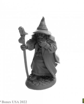 Reaper Bones Usa Dungeon Dwellers: Landol Griwsold  Human Wizard Plastic Miniature
