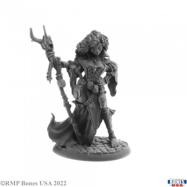 Reaper Bones Usa Reaper Legends: Andowyn Thrushmoor Human Druid Plastic Miniature