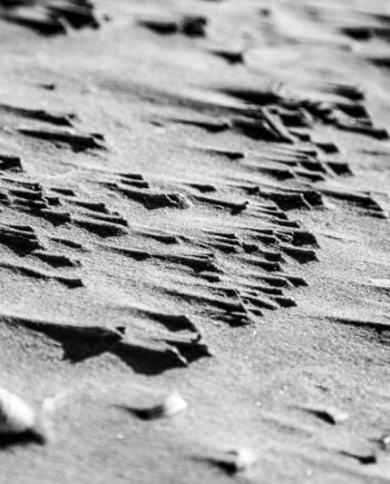 Sand Sails Af Andreas Mørck