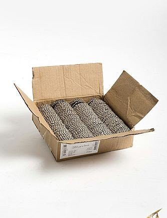 Silver Lion Coins 200 Pcs Epic Armoury Live Rollespil