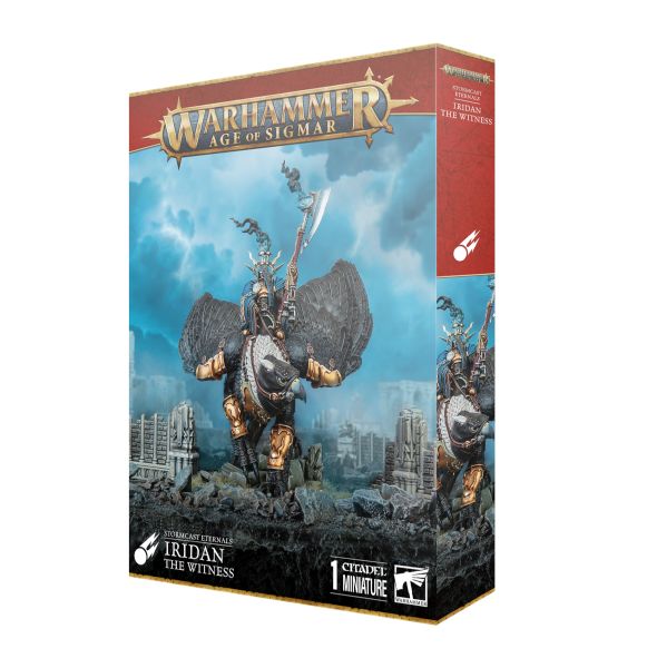 Stormcast Eternals Iridan The Witness Lord-vigilant On Morrgryph 99120218089