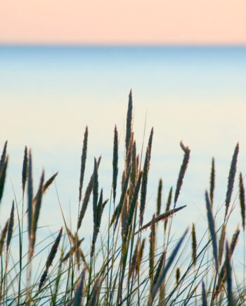 Summer Beach Af Kirsten Stigsgaard