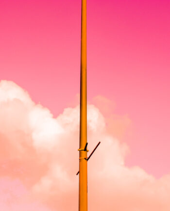 The Pink Half Af Tal Paz-fridman