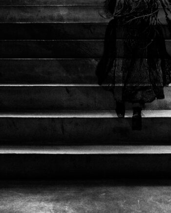 Transparency Af Pia Roi