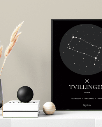 Tvillingen Stjernetegn Plakat Sort 60 84 Cm  A1