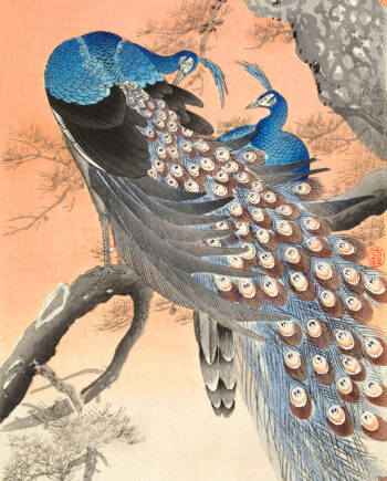 Two Peacocks On Tree Branch Af Plakatwerket