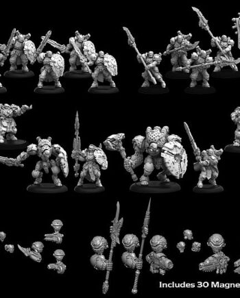 Warmachine  Mkiv  Core Army Starter Box: Cygnar Storm Legion Pip-21000