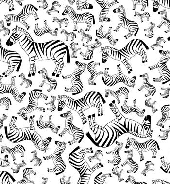 Zebras Af Illux Kids