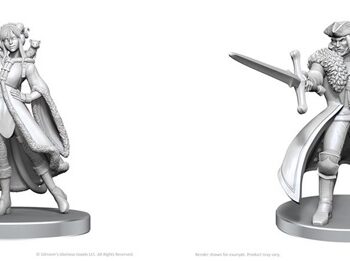 Fantasy Miniatures Critical Role: Unpainted Miniatures Jester Lavorre   Fjord Stone  Wzk90791