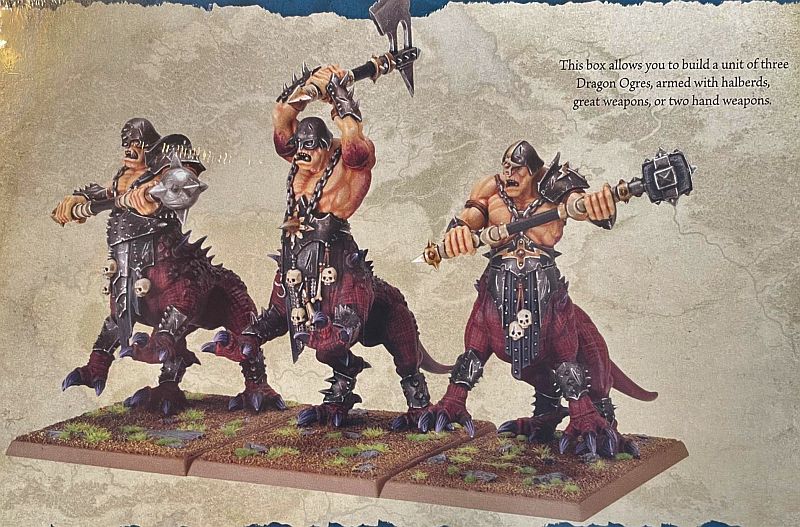 Warriors Of Chaos Dragon Ogres 2024 99122701011 Do